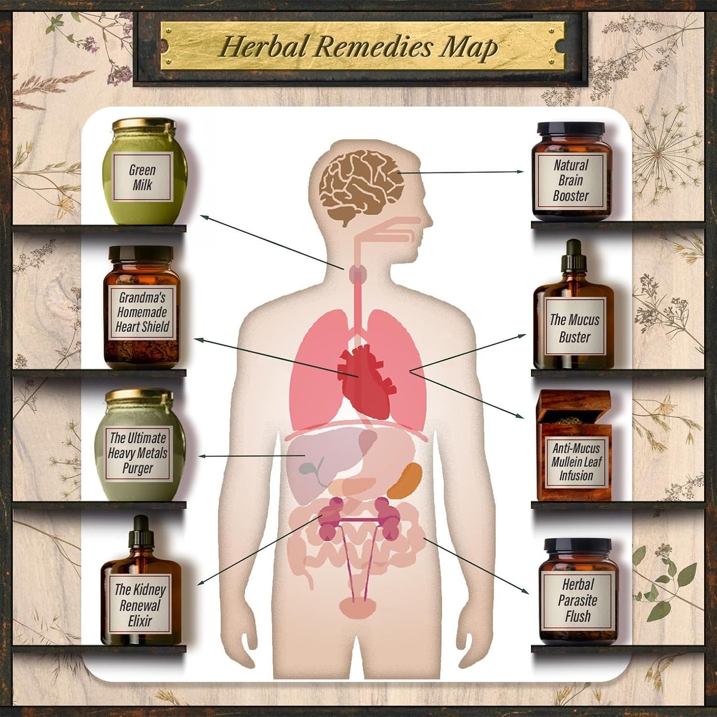 Forgotten Home Apothecary 250 Powerful Remedies